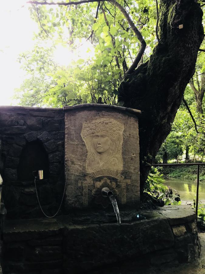 Hotel Divetsite Sliven Bagian luar foto